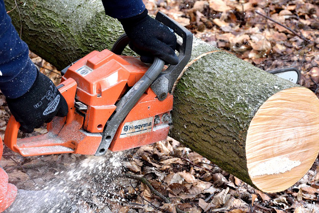 log cutting
